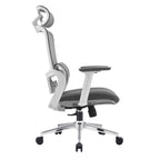 Elena High-Back Ergonomic Office Chair | Mesh | 3D Adjustable | 3-Year Frame Warranty