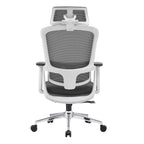 Elena High-Back Ergonomic Office Chair | Mesh | 3D Adjustable | 3-Year Frame Warranty