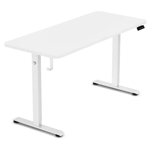 ErgoDesk Electric Standing Desk | Single Motor | 3 Height Presets | 120cm & 140cm
