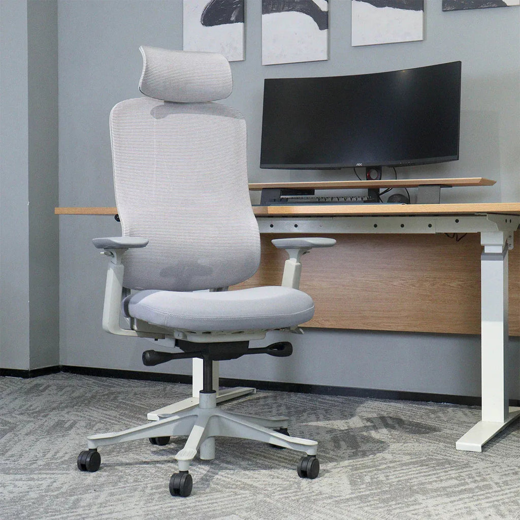 DM8 High-Back Ergonomic Office Chair | White/Grey | 150KG Rated | 10-Year Warranty