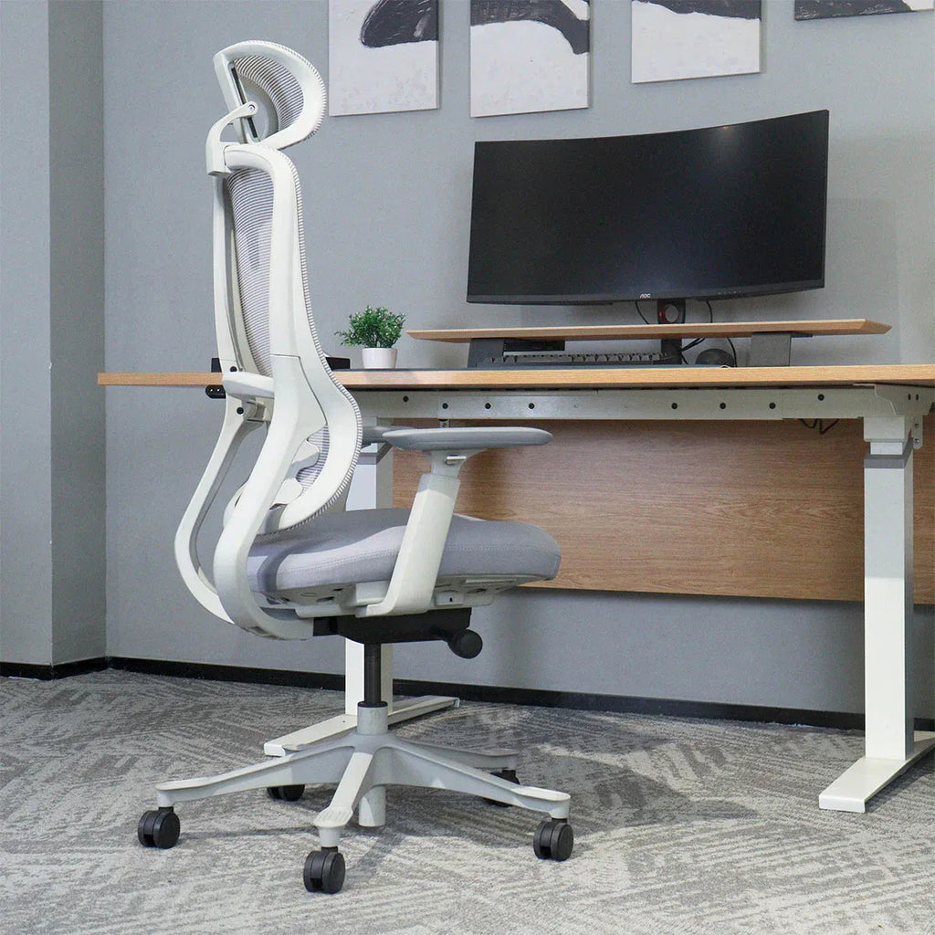 DM8 High-Back Ergonomic Office Chair | White/Grey | 150KG Rated | 10-Year Warranty